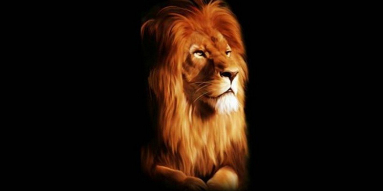 AchilahRobert's profile banner image