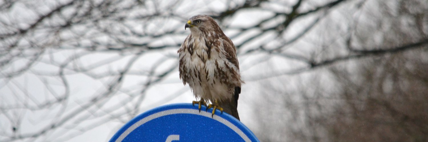 Pascal Wolterman banner