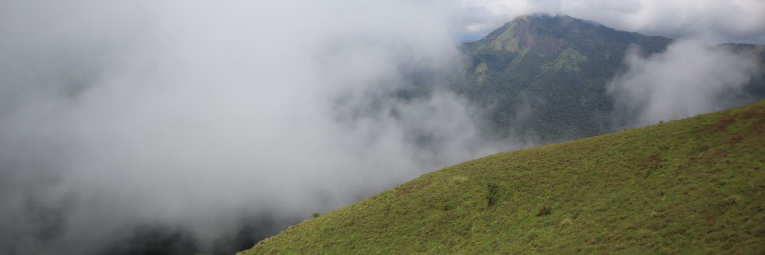 lensofaperture's profile banner image