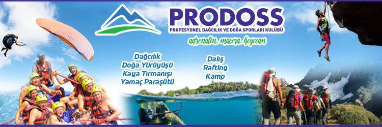MYYAKUT's profile banner image