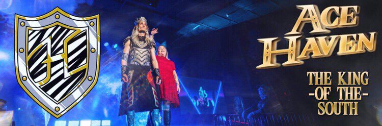 Ace Haven - King of the South banner