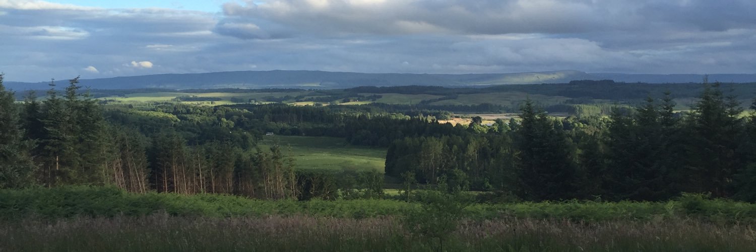 Stephenie Ong banner