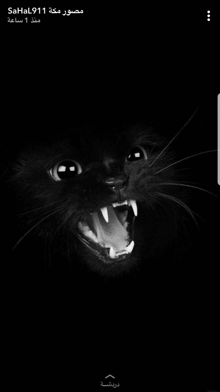 ورد..🇸🇦🐆 banner