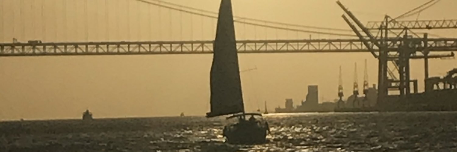 veljonas's profile banner image