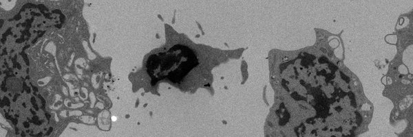 TimSargeant1 Profile Banner