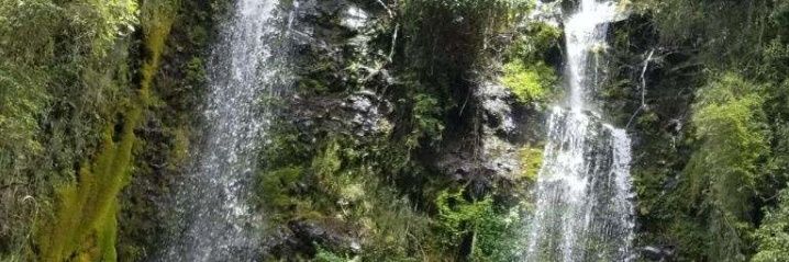 segundo banner