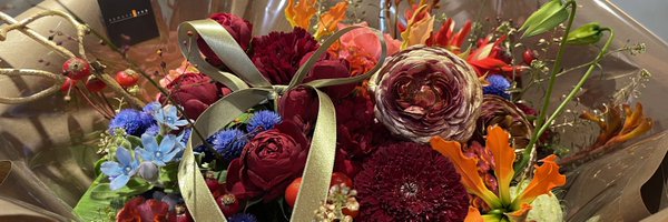 piccolino110 Profile Banner