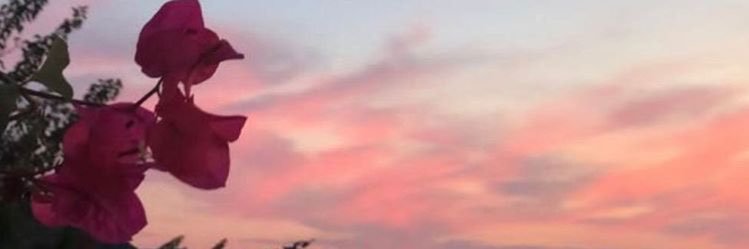 Beynapr's profile banner image