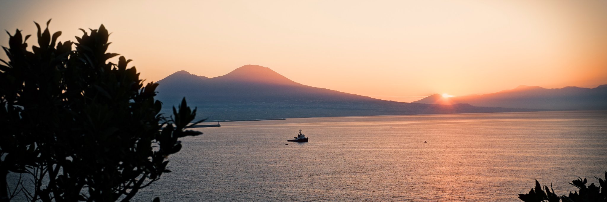 marcomarkovich's profile banner image