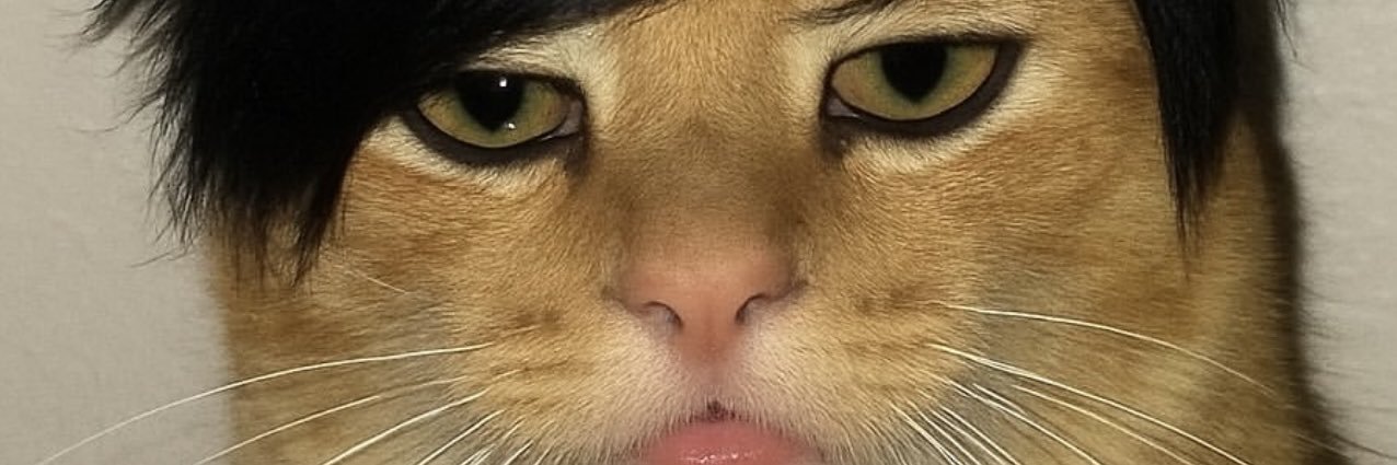 miriamtonche's profile banner image