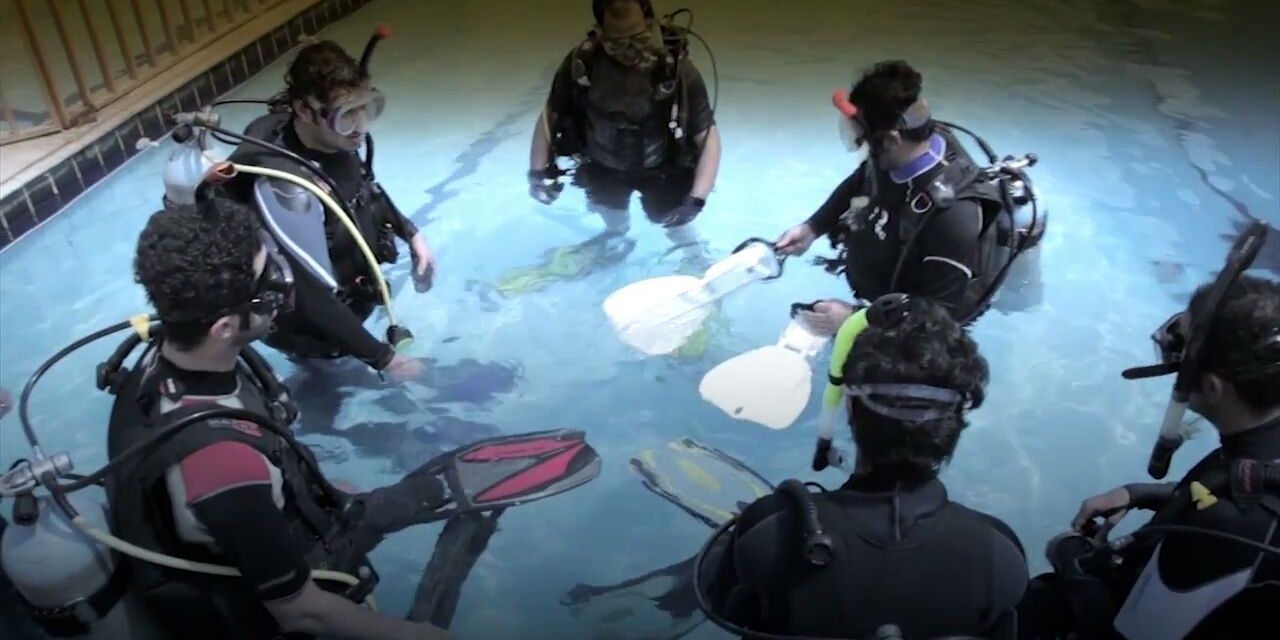 mddivecom's profile banner image