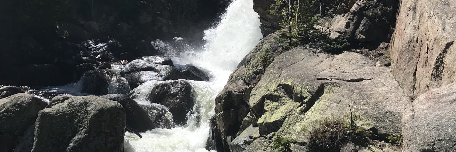 Julie Lessiter banner