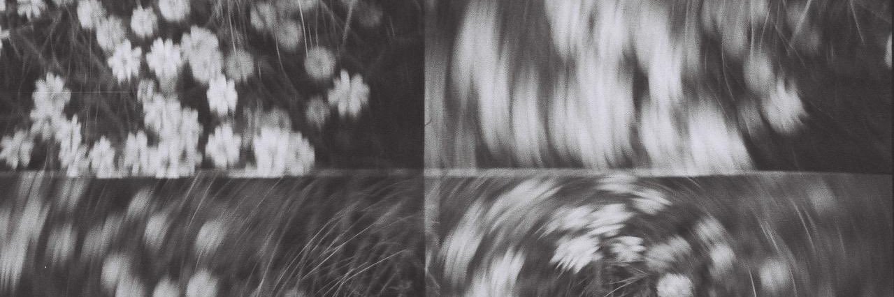 goodwimps's profile banner image