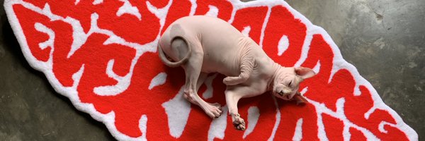 absarlebeh Profile Banner