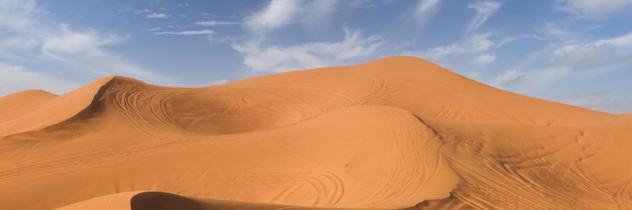 Emma Ledger (Overton) banner