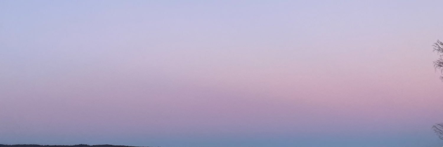 Neus Armenjach banner