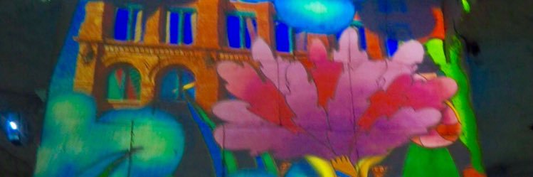 Jenny Leonard 💙 banner