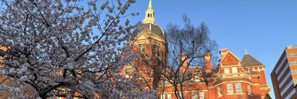 amirkhanUro Profile Banner