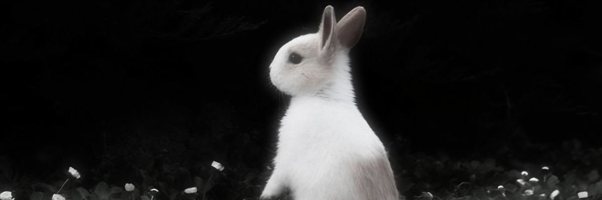 ‎݁ ˖Ი𐑼⋆ banner