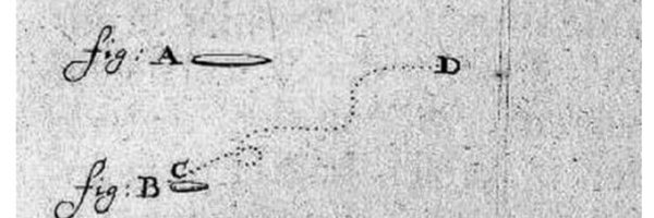bacteriophile Profile Banner