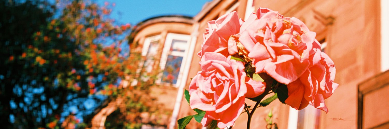 Rhys Robert Harper banner