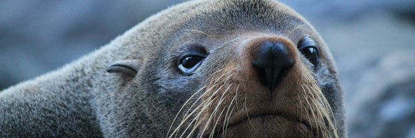 ESoleas Profile Banner