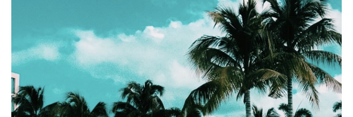 anaschor1's profile banner image