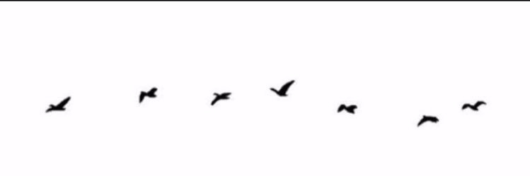 كلام، ﮼جميل ،عن ﮼الحياة  ‏..♥️) banner