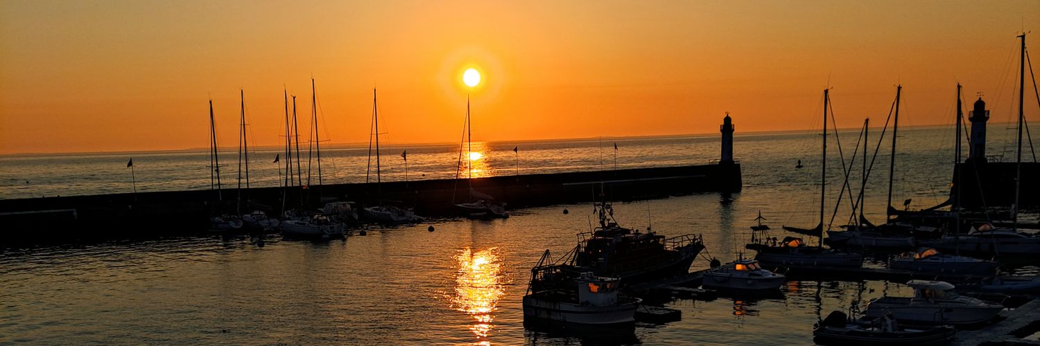 R0B💧◢ ◤shitpost banner