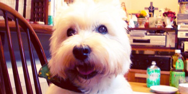 soramio's profile banner image