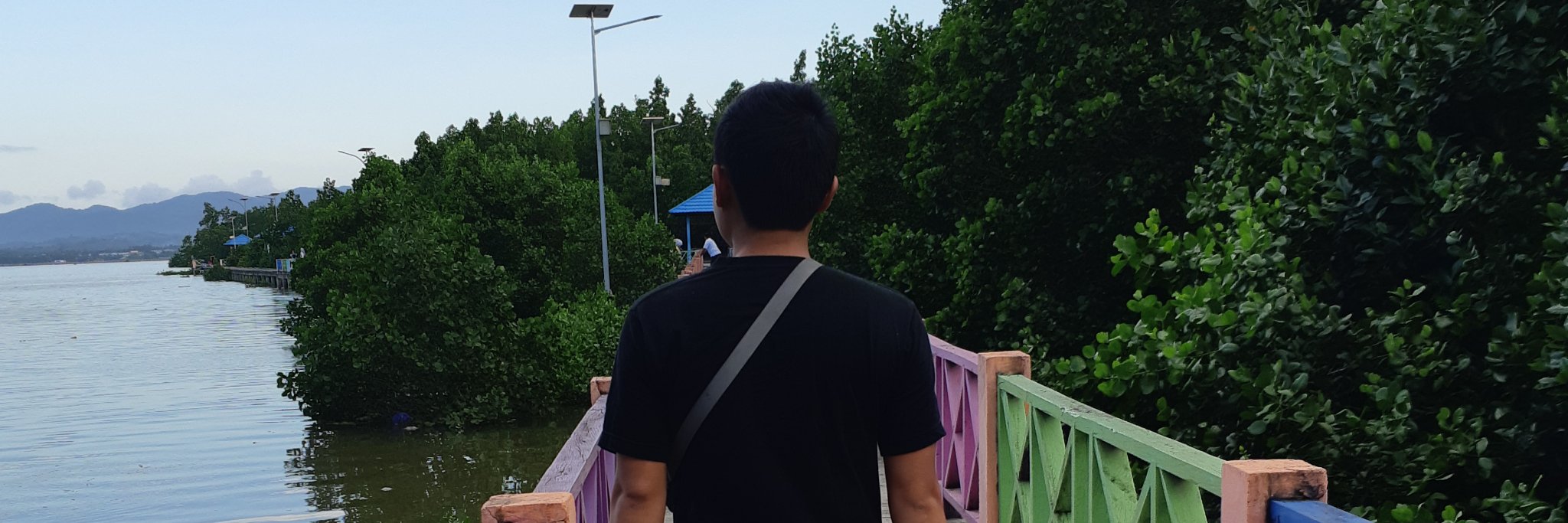 pensupen's profile banner image