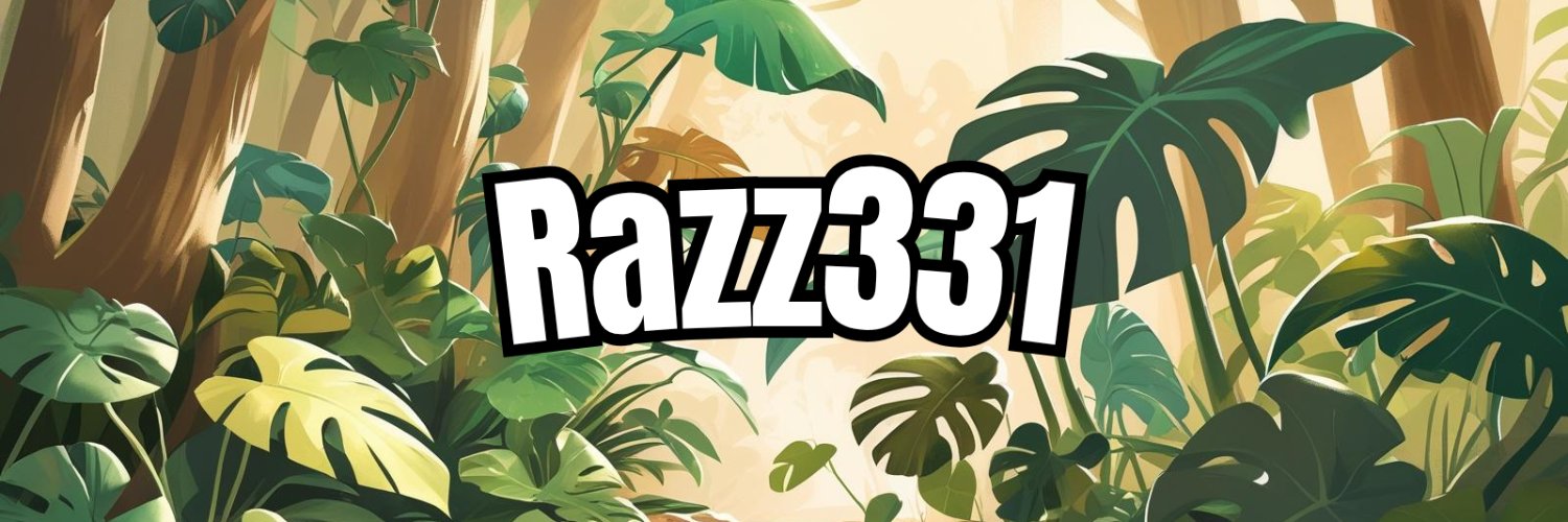 razzmo33's profile banner image