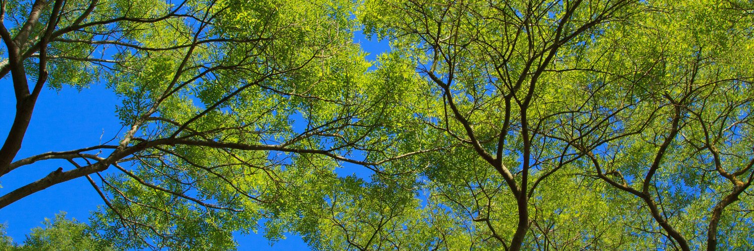 Centre for Community Engaged Narrative Arts banner