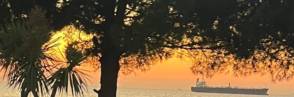 serminoral's profile banner image