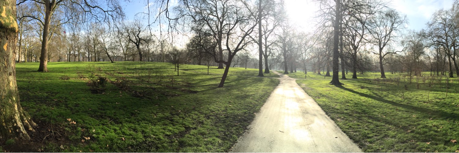 Info Point M5S ⭐️⭐️⭐️⭐️⭐️ banner