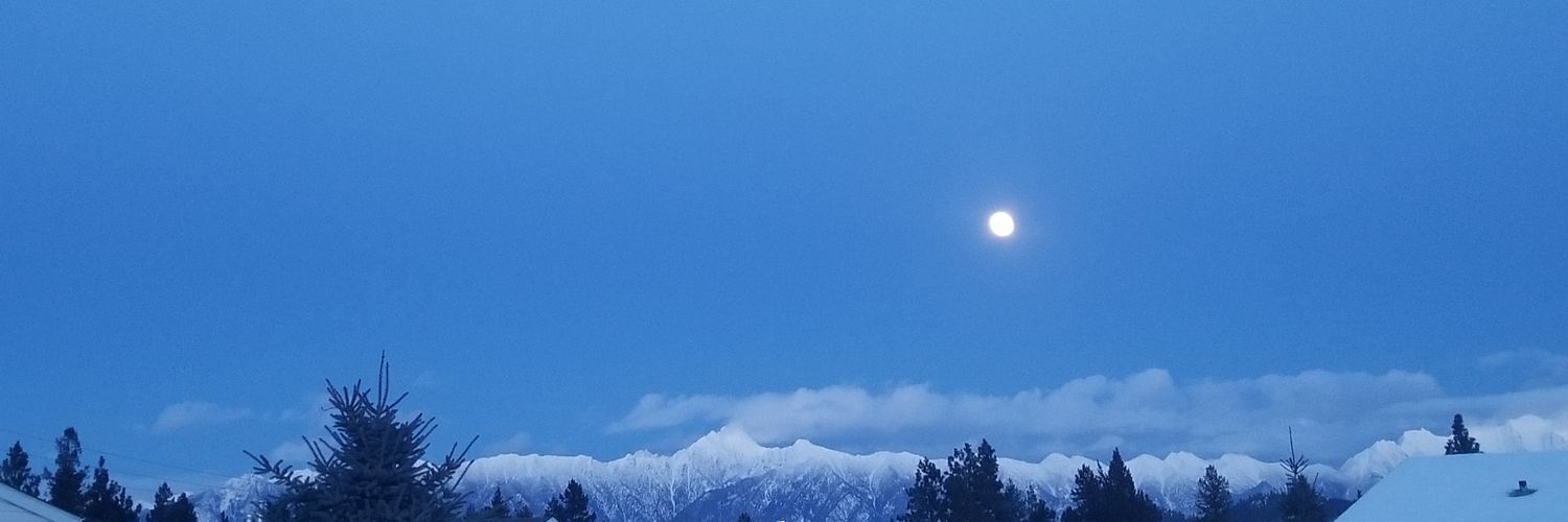 DomQuinton's profile banner image