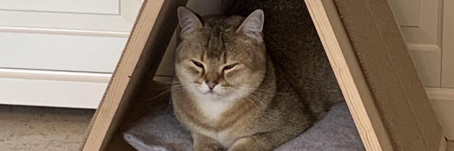 Cat likes Investing 🐈 💎 banner