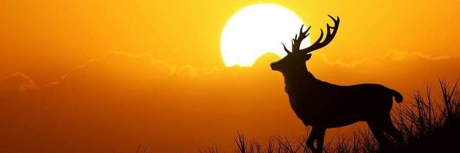 Xu63276549's profile banner image