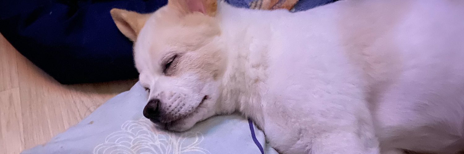 nescaustark's profile banner image