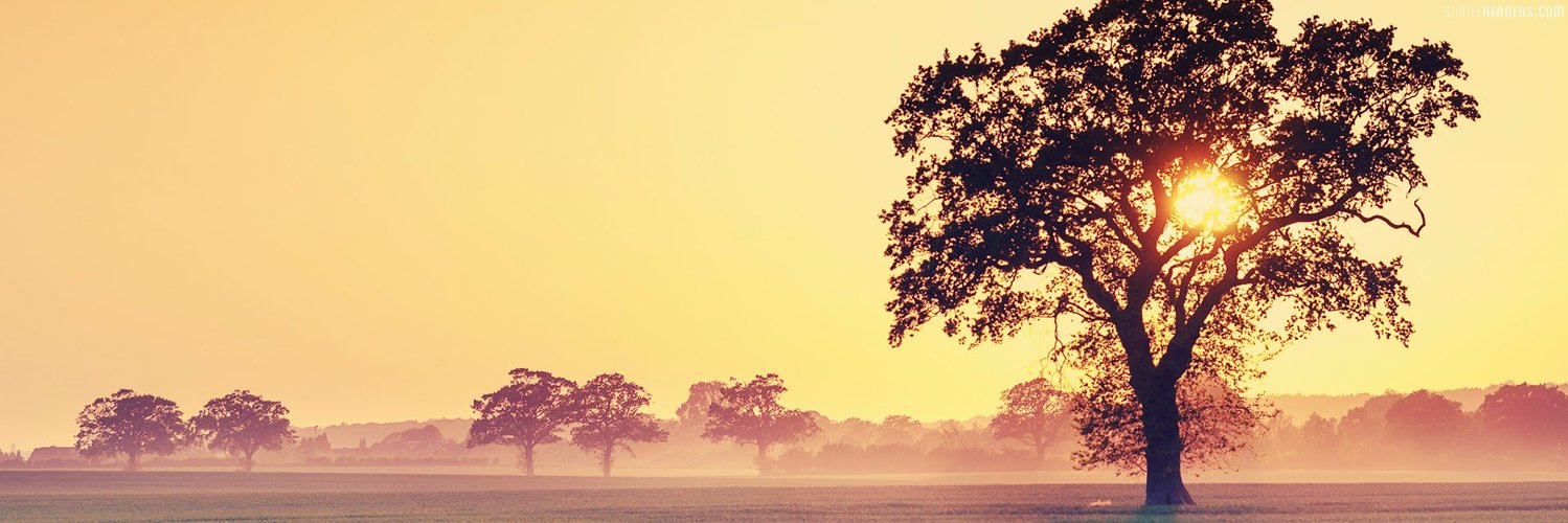 riyazn123's profile banner image