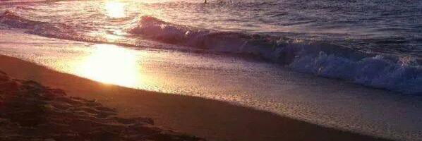 rocio_sogi's profile banner image
