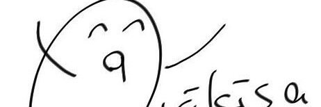 rikisa3's profile banner image
