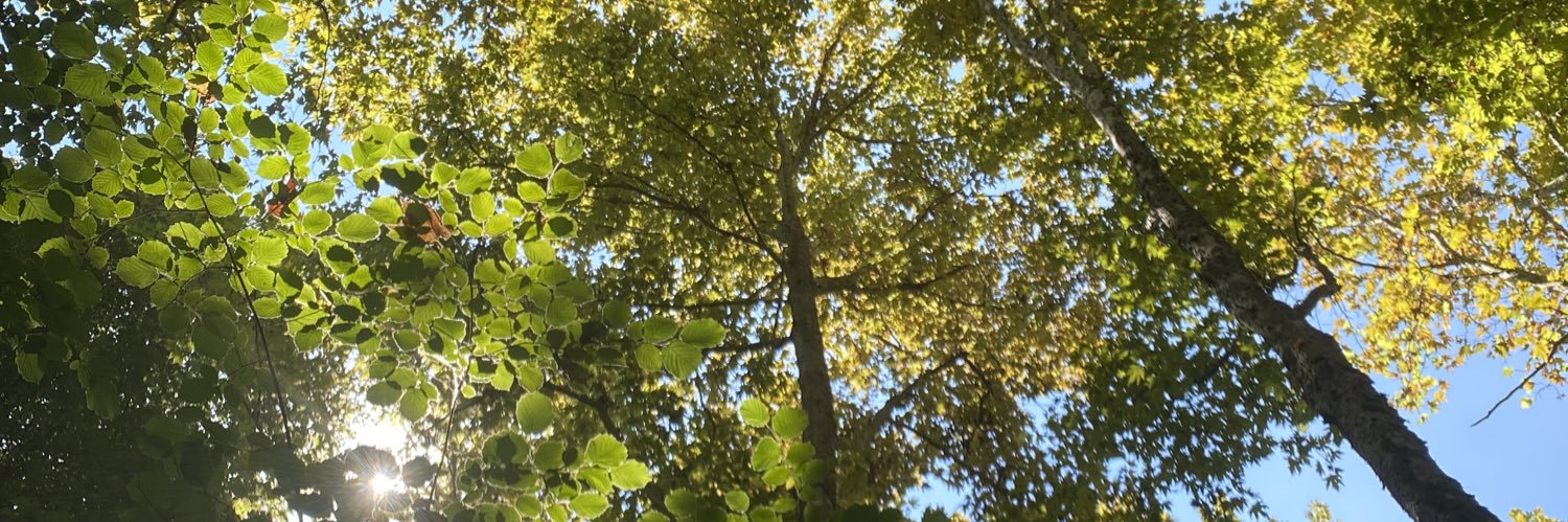 نور الغريض banner