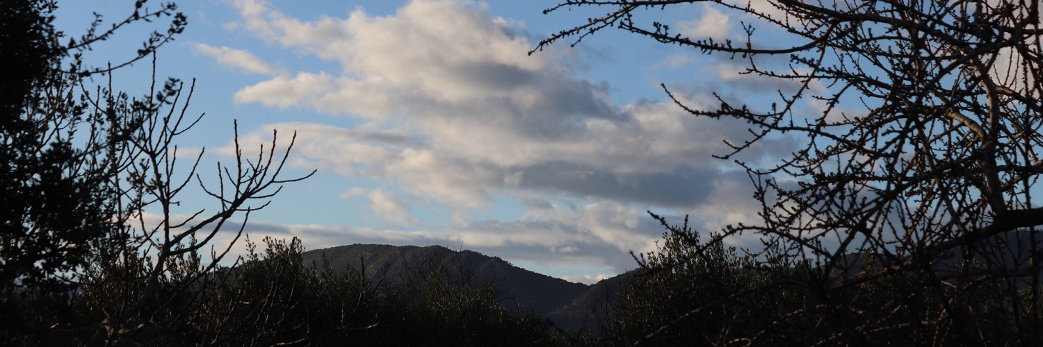 ant_caor's profile banner image