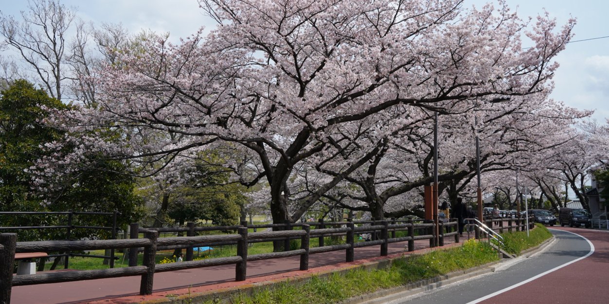 tak_mo's profile banner image