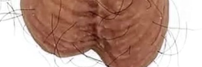 das it banner