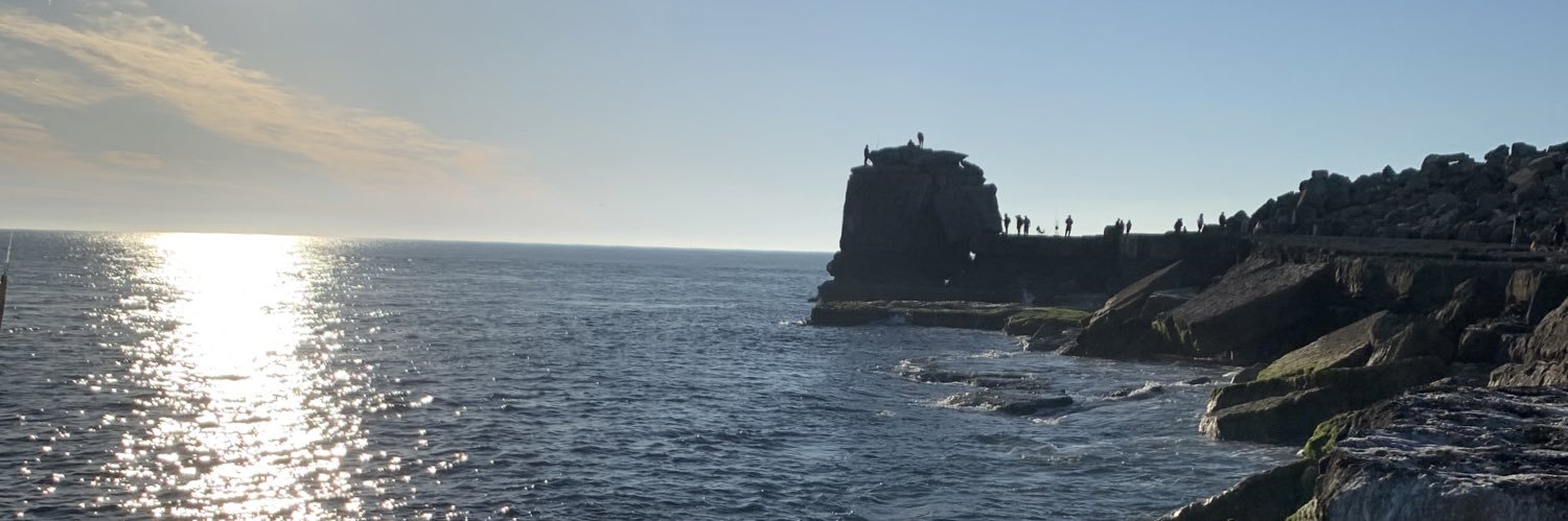 TipsyTiger (Still Tiger Mike) banner