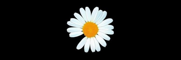 minoprtm's profile banner image