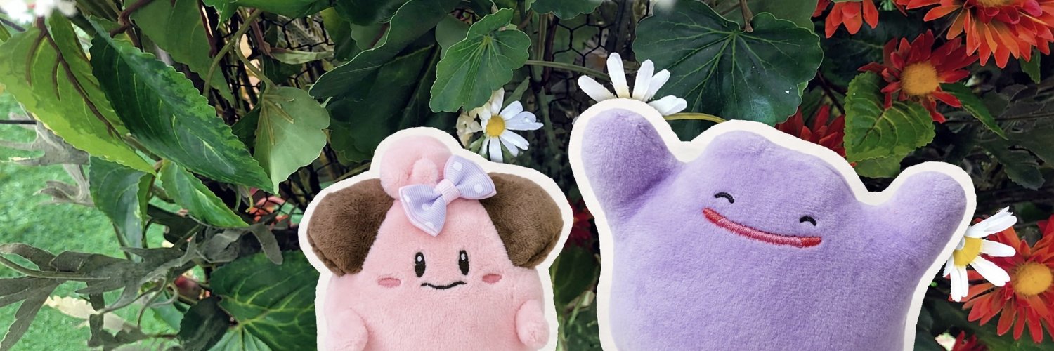m0ec00's profile banner image