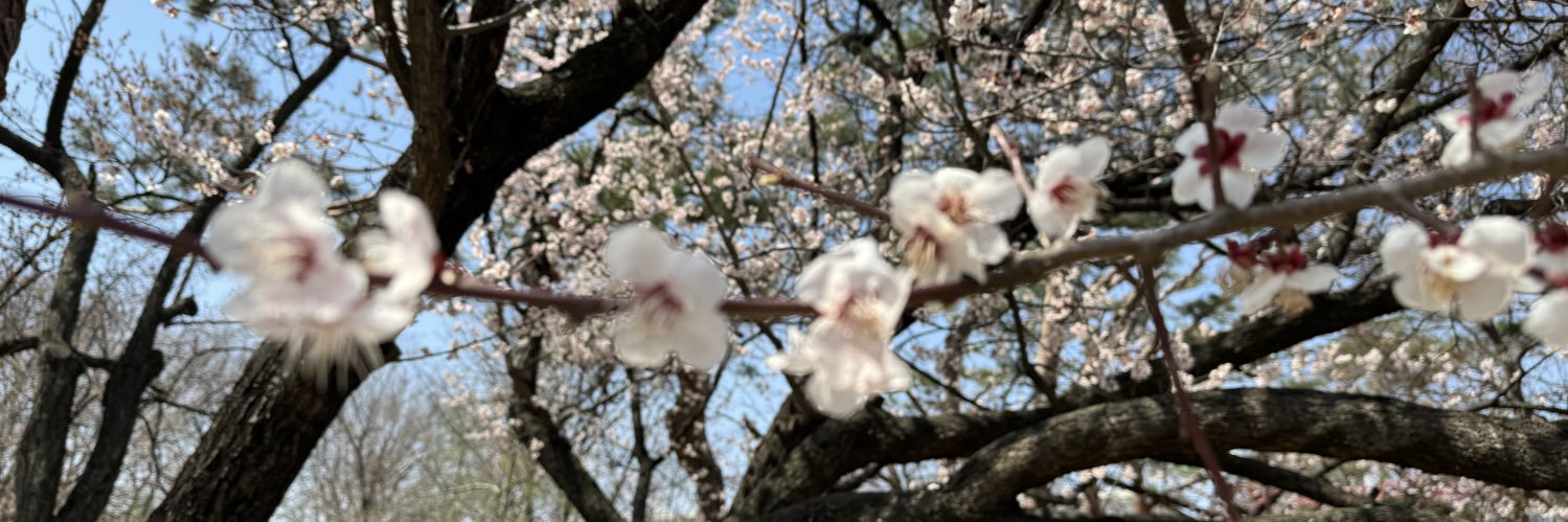 takesang's profile banner image